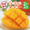 【送料無料】宮崎完熟マンゴー　2Lサイズ × 2玉【常温配送】