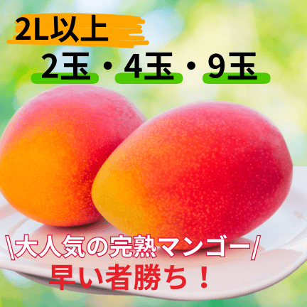 宮崎完熟マンゴー（2L以上） | ミヤコネ