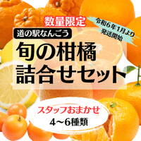 旬の柑橘詰合せセット【北海道・沖縄除き送料無料】