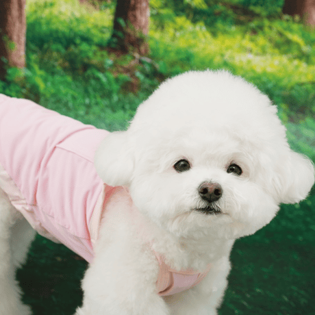 [ PUPPYGALLERY ] Outside plus cooling tank top