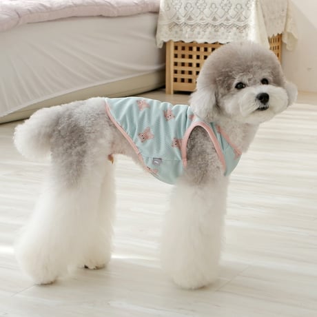 [IT'S DOG] JELLY BEAR COOL SLEEVE