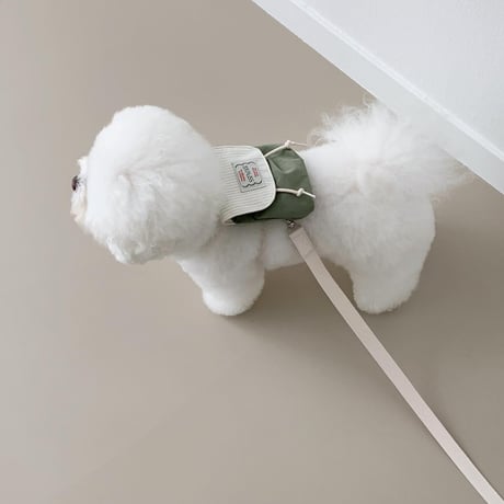 [ SSFW ] Love, Walk Backpack Harness