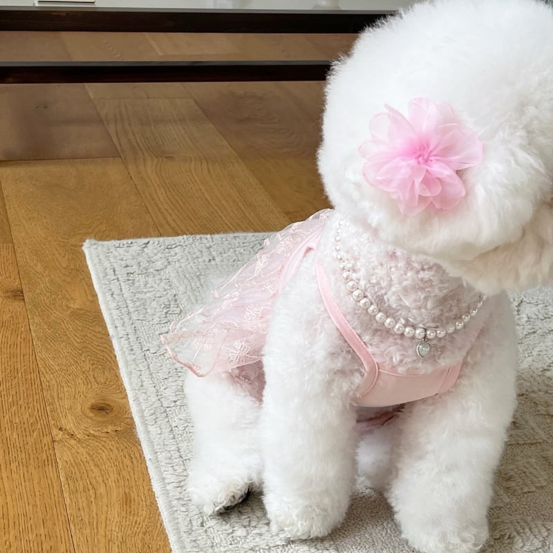 ♡y.r.t.10.ve.50さま専用♡ トリミングチョーカー y.r.t.10.ve.50様