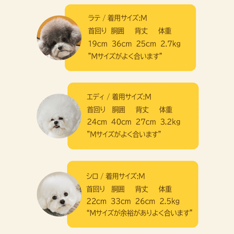 6548998756efca0061d43c6d