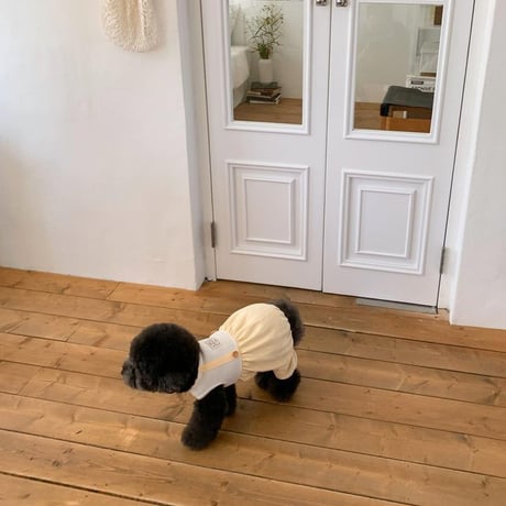 [ SSFW ] Pumpkin Overall Romper