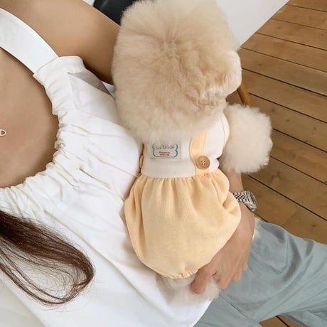 [ SSFW ] Pumpkin Overall Romper
