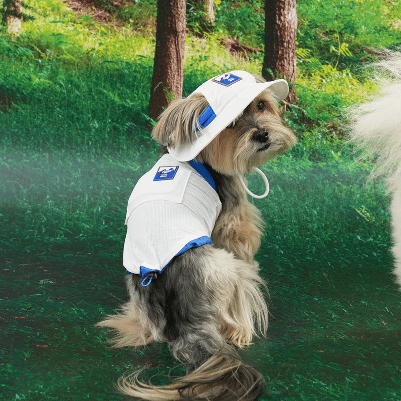 PUPPYGALLERY ] Outside plus cooling tank top