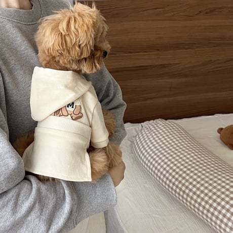 Bear Hooded Crop Set（F001）