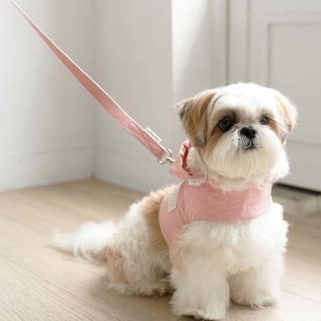 [DURANG RURANG] DAILY ANORAK HARNESS