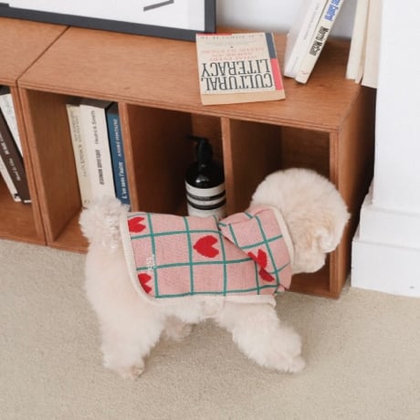 [ SSFW ] My Little Check Heart Poncho