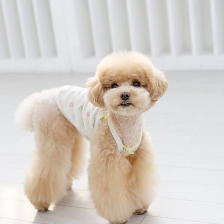[ITS DOG] オーガニックベイビーノースリーブ