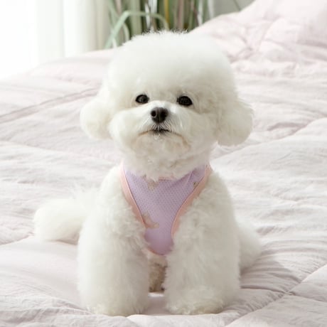 [IT'S DOG] JELLY BEAR COOL SLEEVE