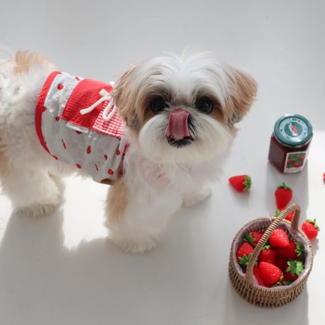 [ DURANG RURANG ] Strawberry Ice Pocket Top