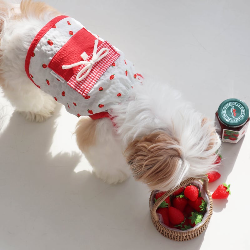 DURANG RURANG ] Strawberry Ice Pocket Top | m