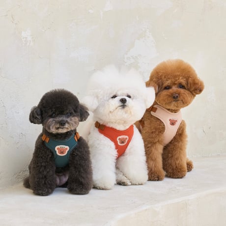 CATEGORY お散歩グッズ | merrymerry