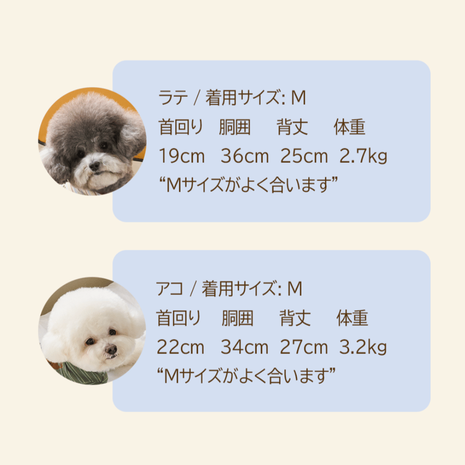 654d226ce6a77c002eb510f2