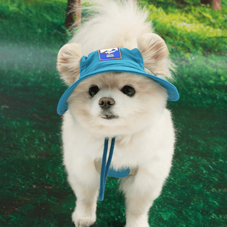 [ PUPPYGALLERY ] Outside plus bucket hat
