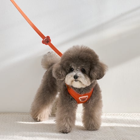 [BENNYS] MULTI LEASH