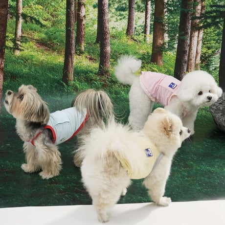 [ PUPPYGALLERY ] Outside plus cooling tank top