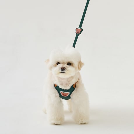 [BENNYS] MULTI LEASH