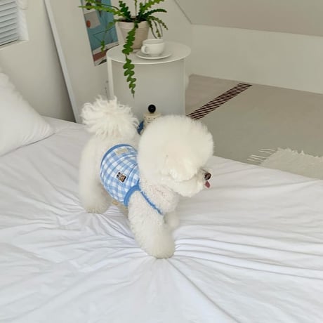 [DURANG RURANG] CHECK BEAR COOL T