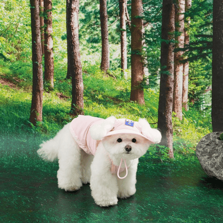[ PUPPYGALLERY ] Outside plus bucket hat