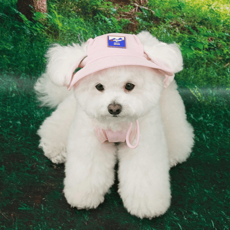 [ PUPPYGALLERY ] Outside plus bucket hat