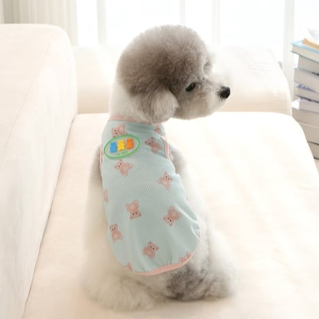 [IT'S DOG] JELLY BEAR COOL SLEEVE