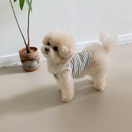 [ SSFW ] White Label Crayon Sleeveless