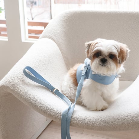 [DURANG RURANG] DAILY ANORAK LEASH