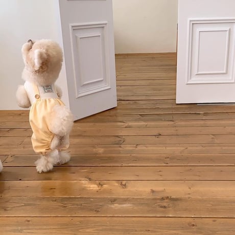 [ SSFW ] Pumpkin Overall Romper