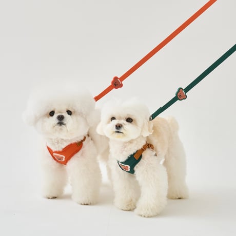 [BENNYS] MULTI LEASH
