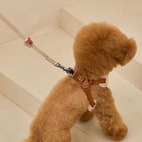 [BENNYS] MULTI LEASH