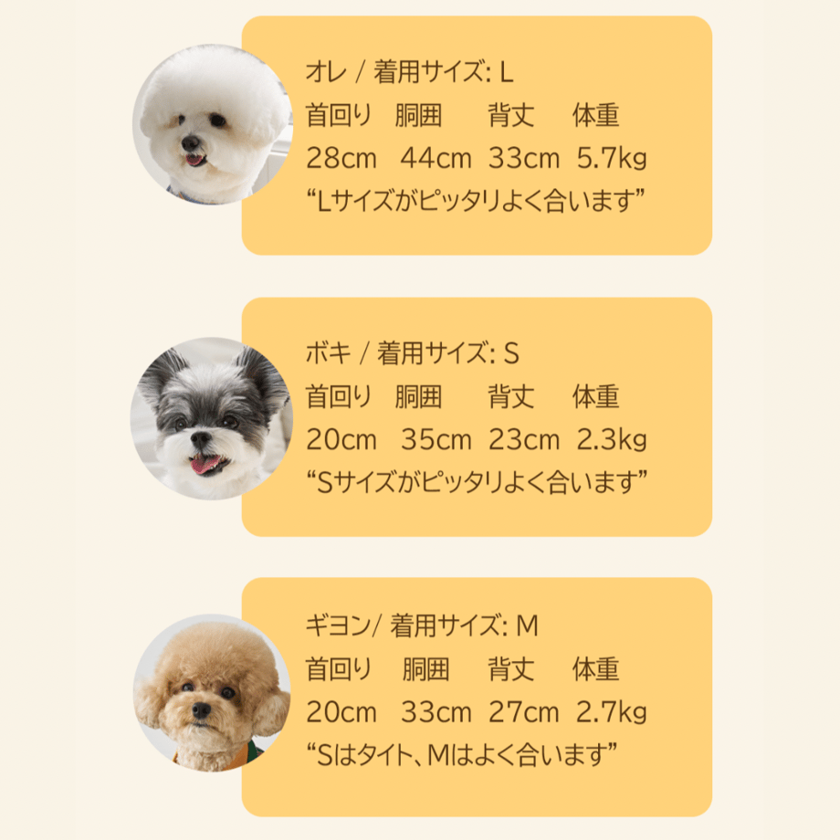 6547eace9c8b621bb05c1b5d