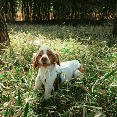 [ PUPPYGALLERY ] Outside plus bucket hat