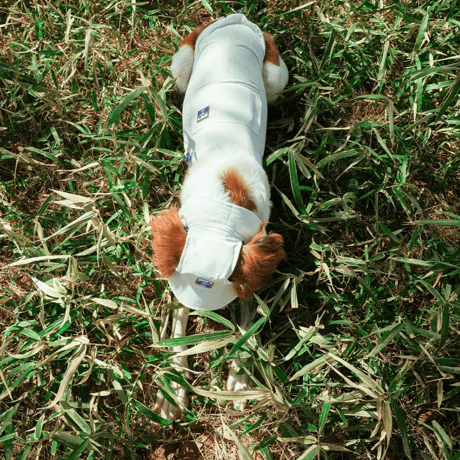 [ PUPPYGALLERY ] Outside plus bucket hat