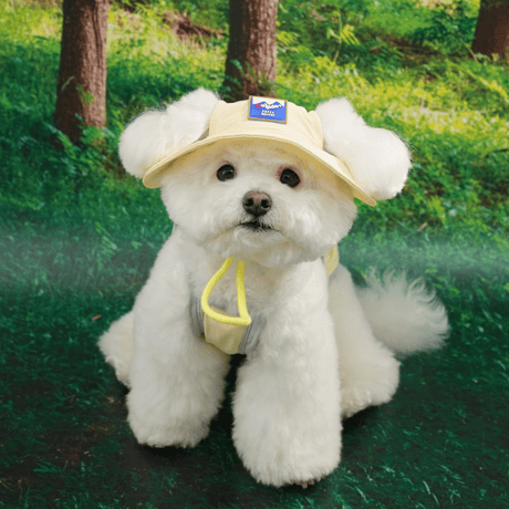 [ PUPPYGALLERY ] Outside plus bucket hat