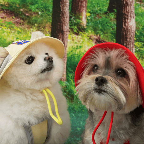 [ PUPPYGALLERY ] Outside plus bucket hat