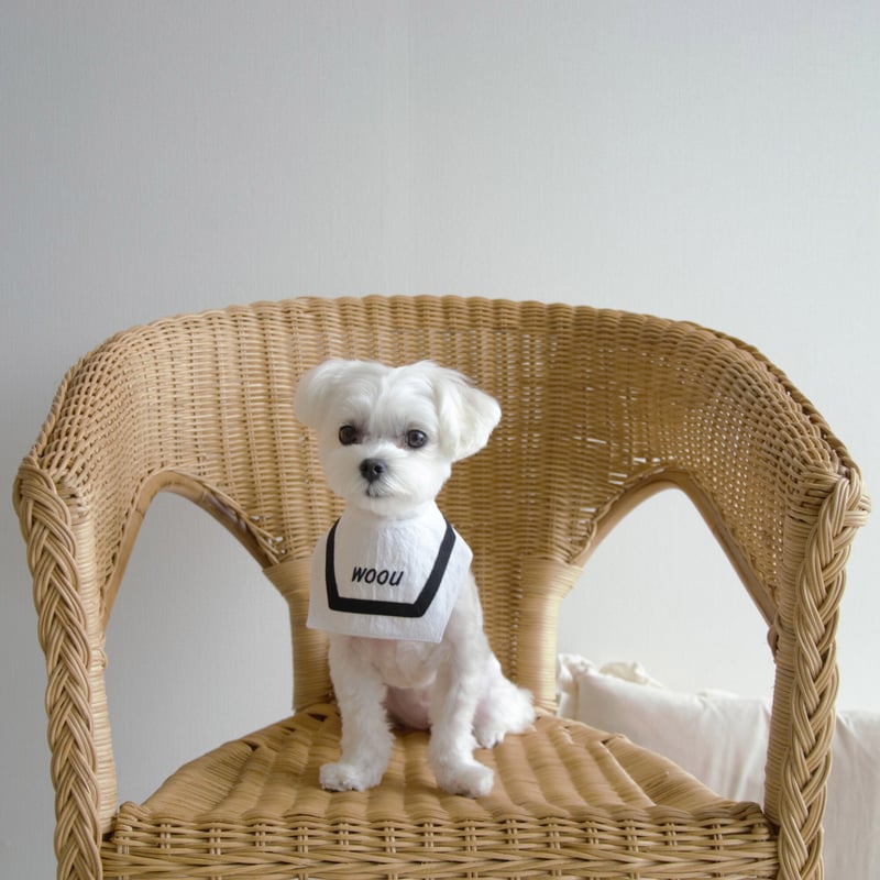 予約】刺繍入りセーラーケープ | merrymerry