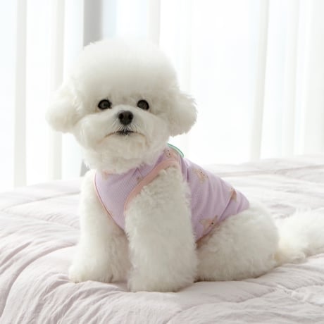 [IT'S DOG] JELLY BEAR COOL SLEEVE
