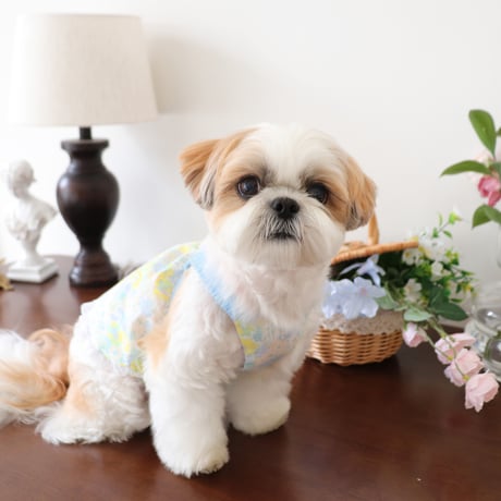 [DURANG RURANG] FLOWER GARDEN TOP