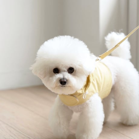 [DURANG RURANG] DAILY ANORAK LEASH