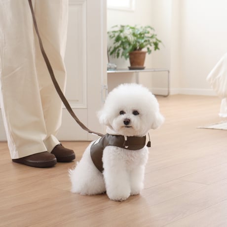 ［DURANGRURANG］Daily Leather Leash