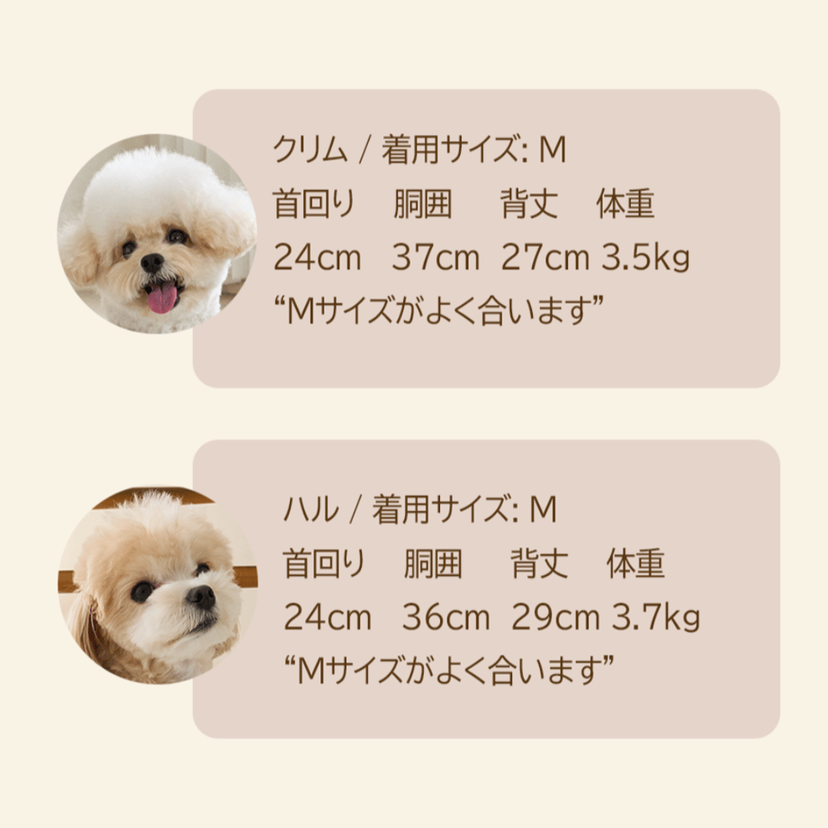 654897a31d3bd9003381cc5b