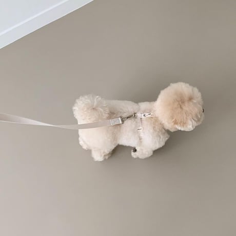[ SSFW ] Love, Walk Backpack Harness