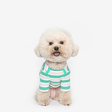 [ TUSTUS ] Dog line striped T-shirt