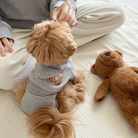 Bear Hooded Crop Set（F001）