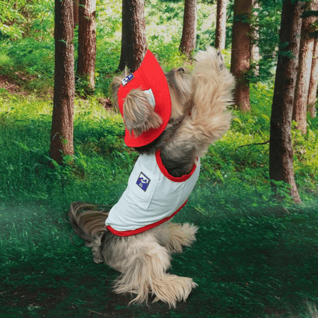 [ PUPPYGALLERY ] Outside plus bucket hat