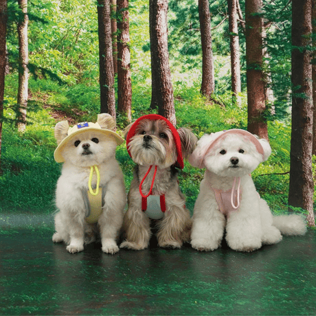 [ PUPPYGALLERY ] Outside plus bucket hat