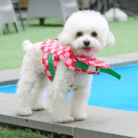 [IT'S DOG] LIFE JACKET